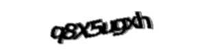 Security check image, please type the characters shown