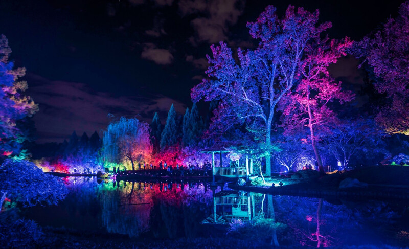 Maymont Garden Glow_3_photocredit-Dave Parrish